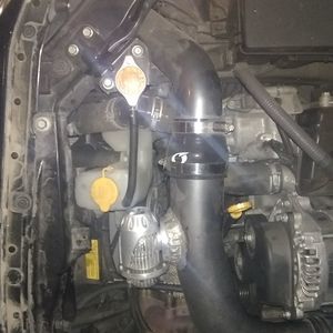 Meet your Posher, William